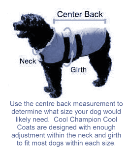 Measuring your dog